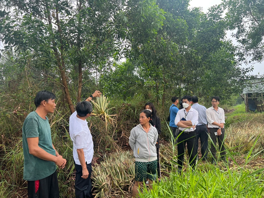 Ban chỉ đạo bồi thường, giải phóng mặt bằng vành đai 3 thực địa tại một khu đất thuộc dự án đường vành đai 3 trên địa bàn huyện Bình Chánh. Ảnh: ĐÀO TRANG