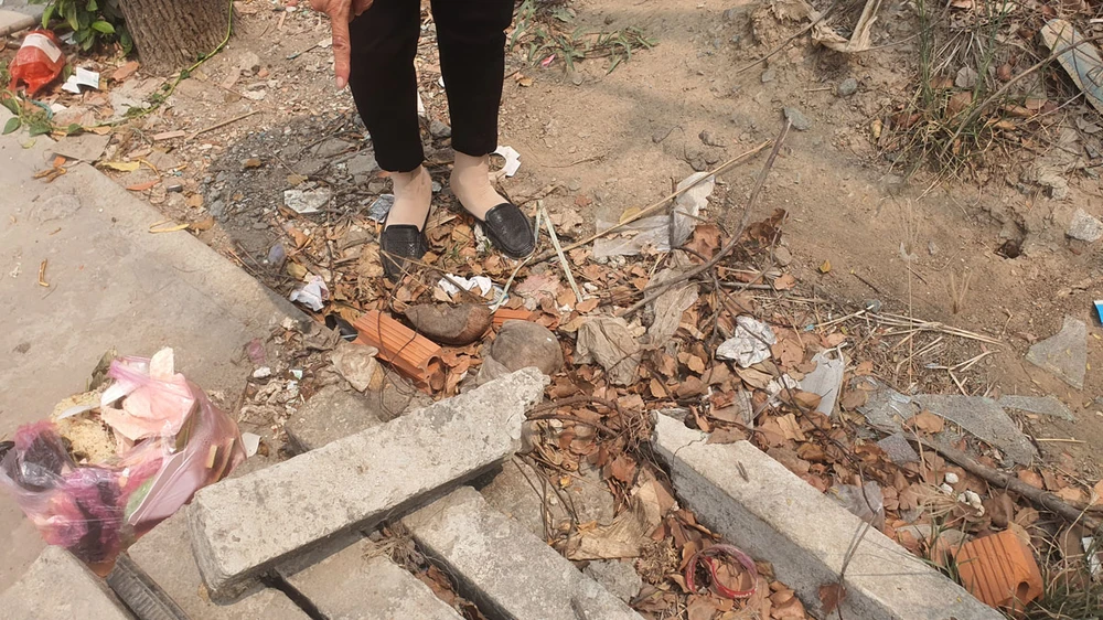 Tháng 4-2023, nhiều người trong gia đình bà An xô gãy một cây cột nên bị phạt hành chính về hành vi hủy hoại tài sản. Ảnh: TRẦN VŨ