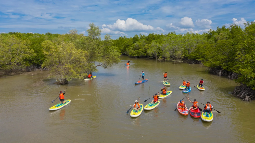 Tour chèo sup xuyên rừng Cần Giờ được nhiều người ưa thích. Ảnh: THU TRINH