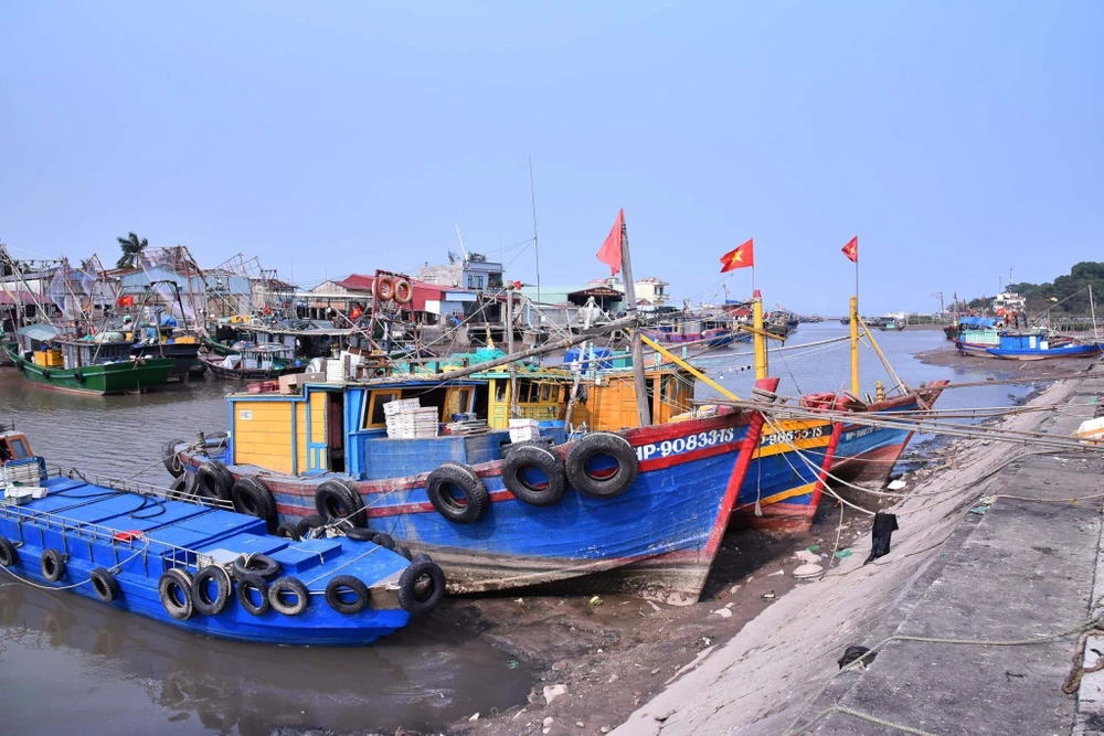 Do hoạt động đăng kiểm bị tạm dừng, nhiều chủ tàu gặp khó trong việc đăng kiểm để tàu cá được ra khơi. Ảnh: NGỌC SƠN