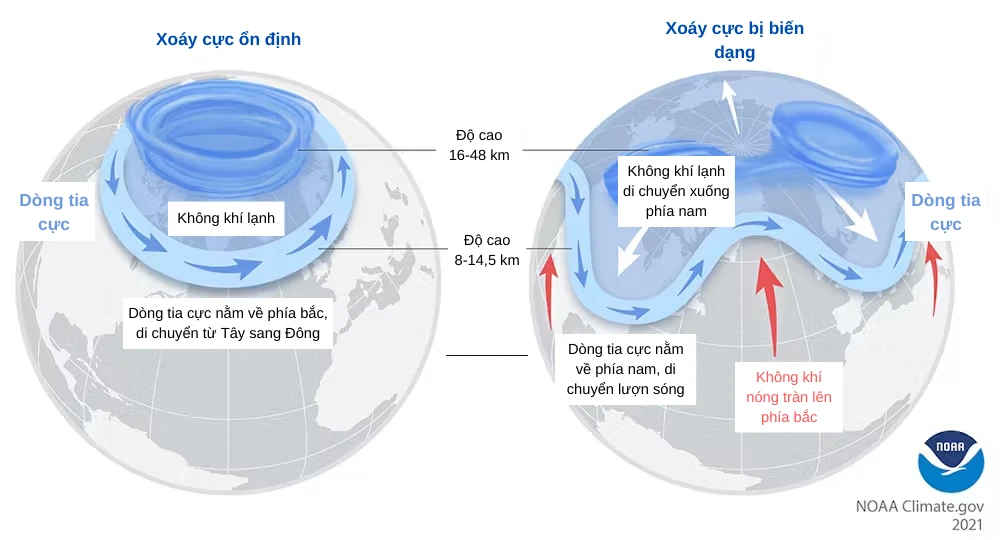 Ảnh box bài P16 đăng 24-1-2024-Lạnh giá cực đoan.png