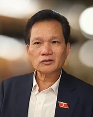 Chính quyền đô thị TP.HCM: Sức bật mới cho phát triển ảnh 5