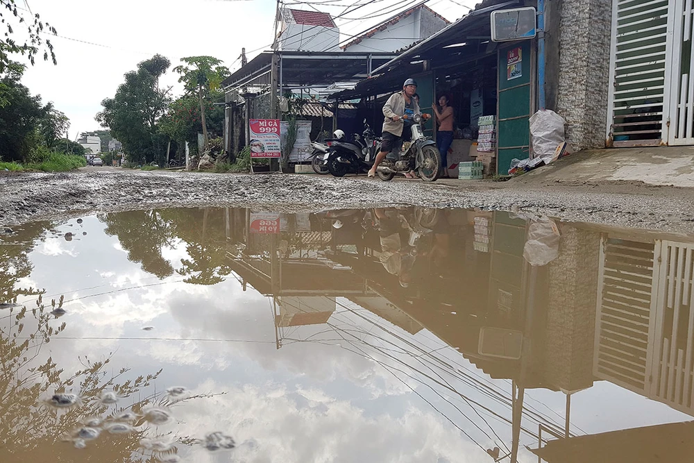 Cao tốc Đà Nẵng - Quảng Ngãi: Cả 7 gói thầu đều không đạt ảnh 2