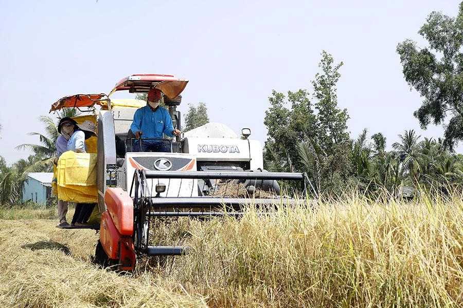 Các chuyên gia cho rằng cần phải có những sửa đổi, làm rõ, cụ thể hóa các quy định liên quan đến đất đai. Ảnh minh họa: N.NHI