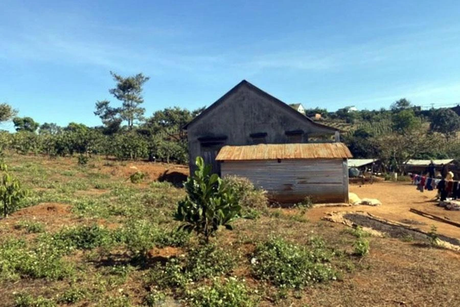 Một phần khu đất cấp sai cho gia đình ông Nguyễn Thanh Sơn ở xã Trường Xuân, huyện Đắk Song. Ảnh: VL Một phần khu đất cấp sai cho gia đình ông Nguyễn Thanh Sơn ở xã Trường Xuân, huyện Đắk Song. Ảnh: VL