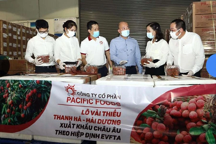 Xuất khẩu vải thiều Việt Nam sang châu Âu. Ảnh: BCT