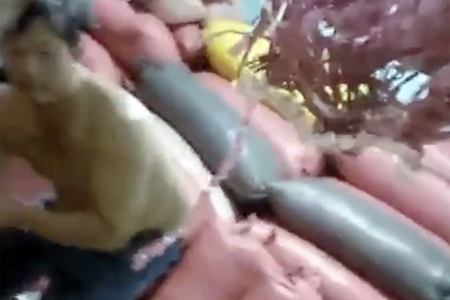 Trước khi công an kiểm tra, kho luôn chứa đầy cà phê nhưng khi công an đến, kho trống rỗng. Ảnh: H.NGHĨA