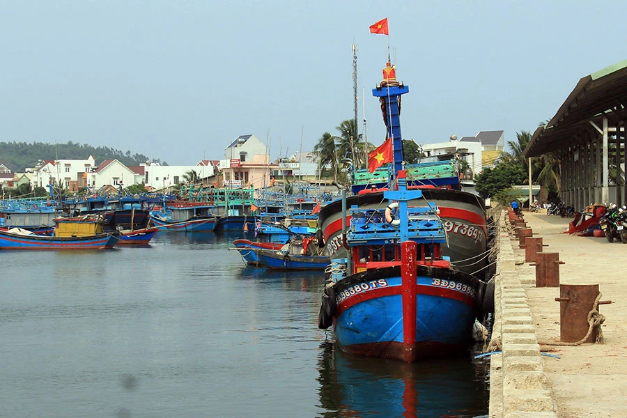 Bình Định đang tăng cường công tác chống khai thác bất hợp pháp. Ảnh: QN