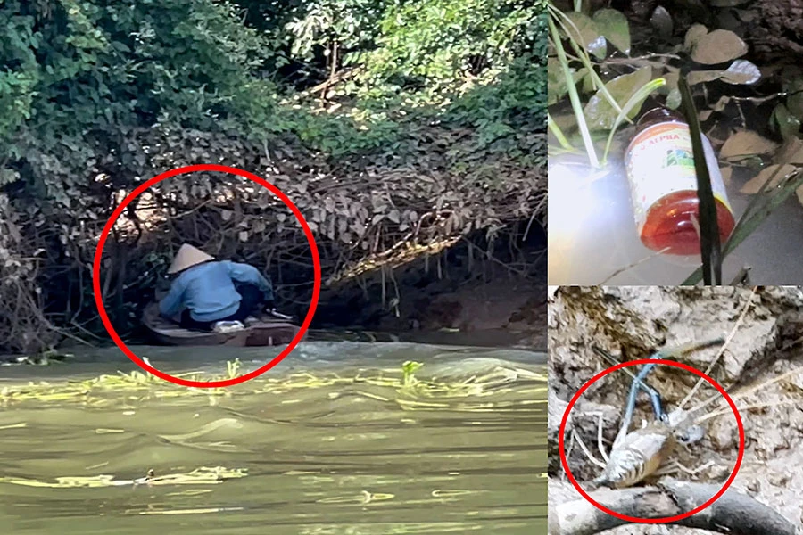 Cách nào dẹp nạn đổ thuốc trừ sâu bắt tôm sông Đồng Nai