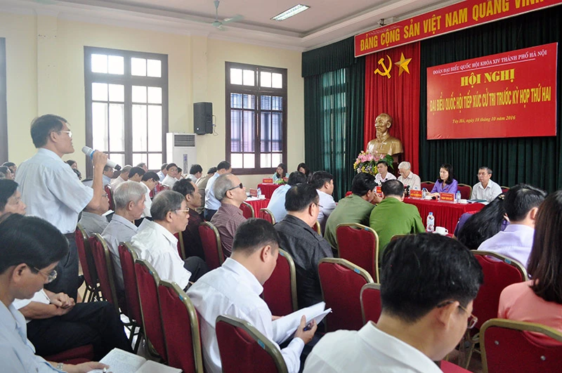 Cá chết có thể do cống xả thải vào Hồ Tây ảnh 1