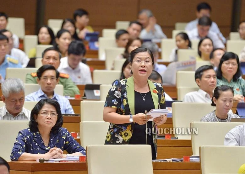 Việt Nam phối hợp với Lào mở cao điểm tấn công tội phạm ma túy ảnh 1