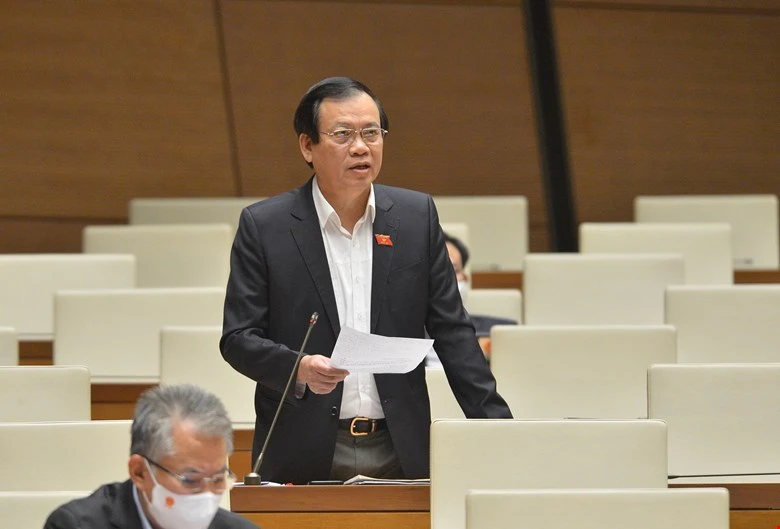 Đại biểu lo người Trung Quốc núp bóng thâu tóm đất vùng biên giới, ven biển ảnh 1