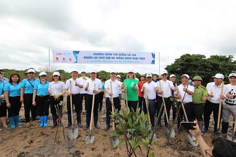 Bộ trưởng TN&amp;MT Trần Hồng Hà, lãnh đạo tỉnh Quảng Ninh, đại diện các tổ chức quốc tế tại Việt Nam và người dân địa phương đã cùng nhau lội bùn trồng cây, thả cá giống tại khu rừng ngập mặn Đồng Rui (xã Đồng Rui, huyện Tiên Yên, tỉnh Quảng Ninh).