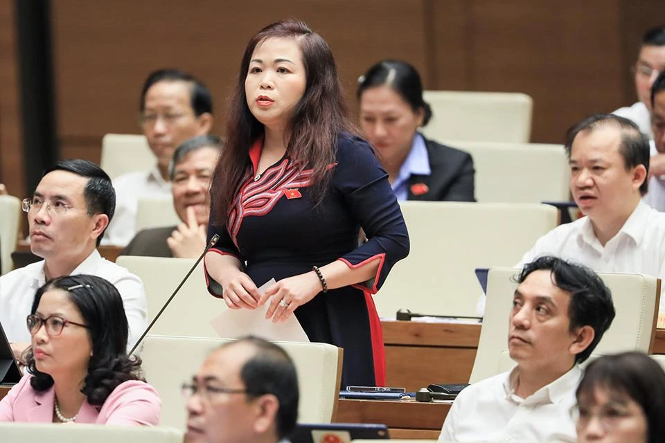 ĐBQH Vũ Thị Lưu Mai