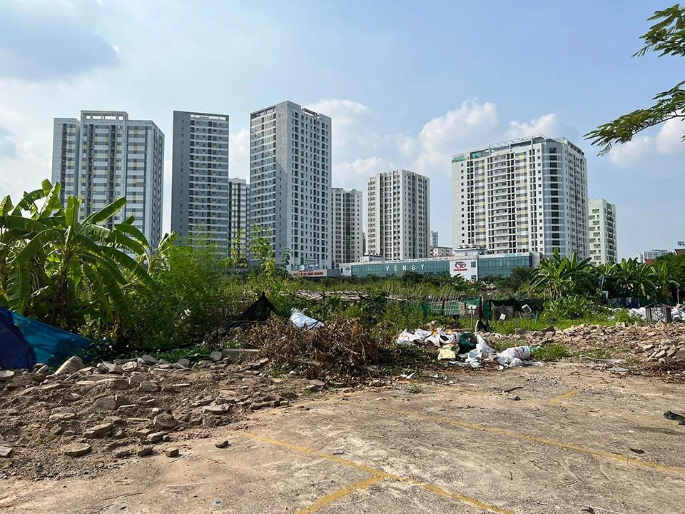 Một ô đất được quy hoạch làm trường học tại phường Hoàng Liệt (Hoàng Mai, Hà Nội) bị bỏ hoang nhiều năm nay.