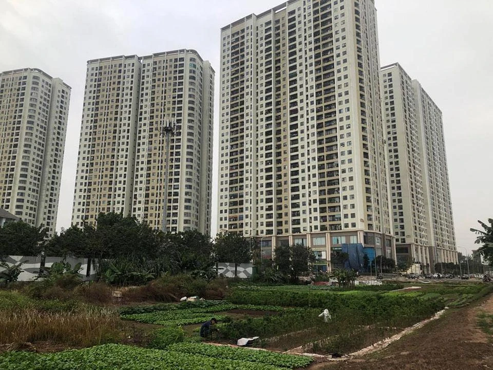 Theo HoREA, thị trường bất động sản, các doanh nghiệp, người mua nhà và nhà đầu tư bất động sản đang rất khó khăn, khó tiếp cận nguồn vốn tín dụng. Ảnh: TRỌNG PHÚ Theo HoREA, thị trường bất động sản, các doanh nghiệp, người mua nhà và nhà đầu tư bất động sản đang rất khó khăn, khó tiếp cận nguồn vốn tín dụng. Ảnh: TRỌNG PHÚ