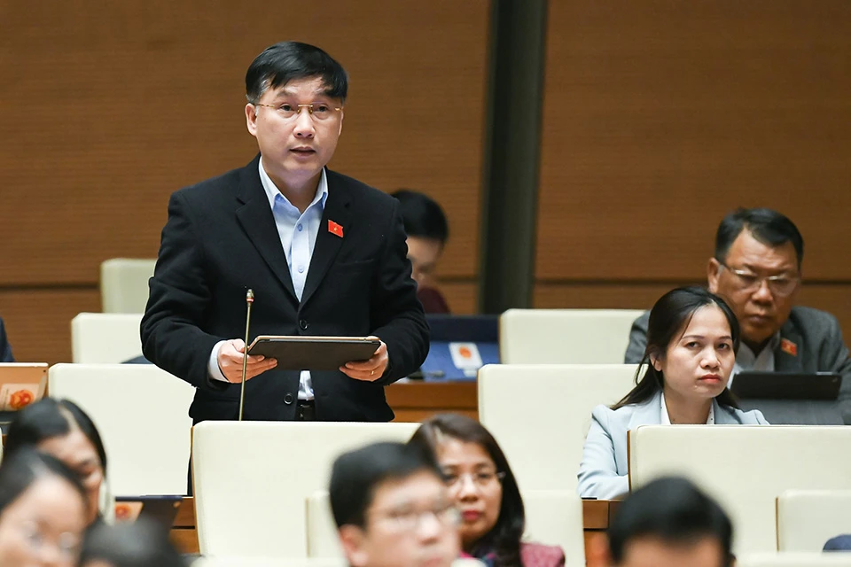 ĐBQH Lê Hoàng Anh (Gia Lai) phát biểu.