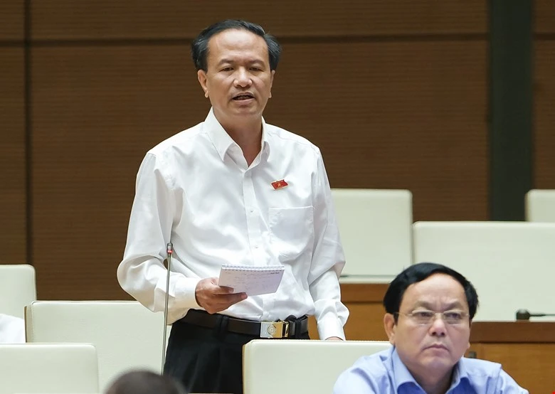 ĐBQH Đinh Ngọc Minh (Cà Mau) (Ảnh Quốc hội)