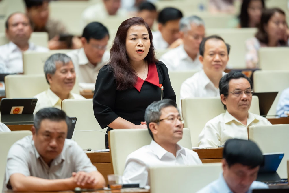 Đại biểu Vũ Thị Lưu Mai, đoàn ĐBQH TP Hà Nội. Ảnh: QH