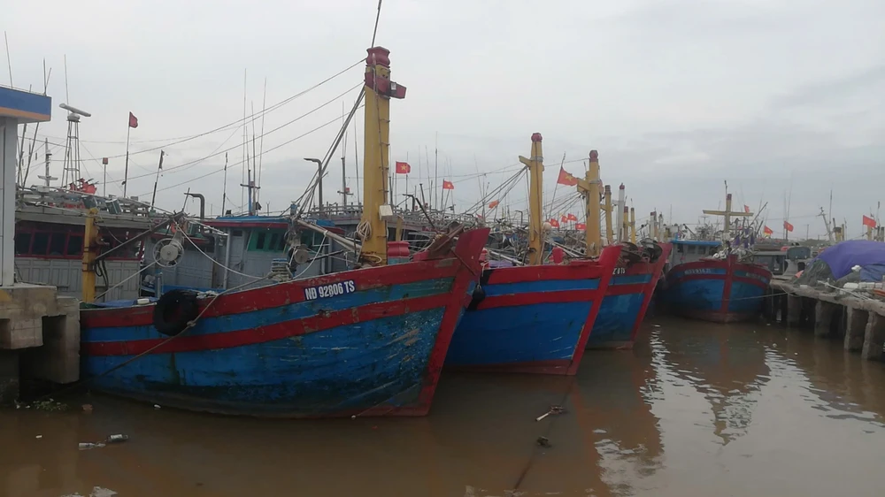 Bão số 3: Nam Định và Thái Bình cấm biển từ sáng mai