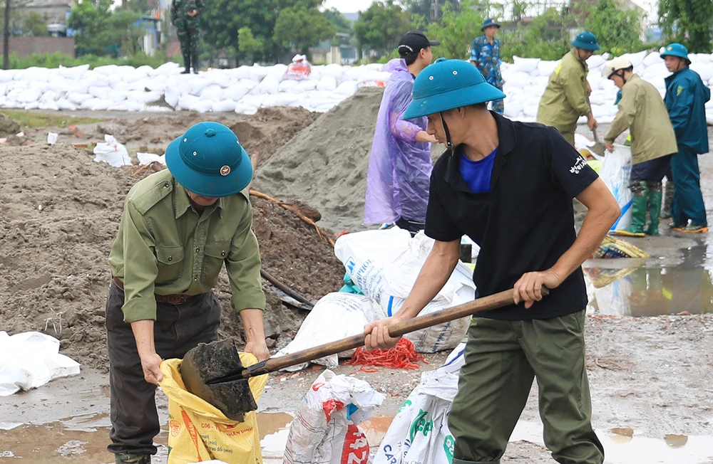 Do lũ sông Nhuệ dâng cao đã tràn qua đê thuộc khu vực xã Đại Áng, huyện Thanh Trì, Hà Nội khiến chính quyền địa phương phải huy động nhân lực gia cố bờ đê, chặn nước tràn vào nội đồng. Ảnh: CTV