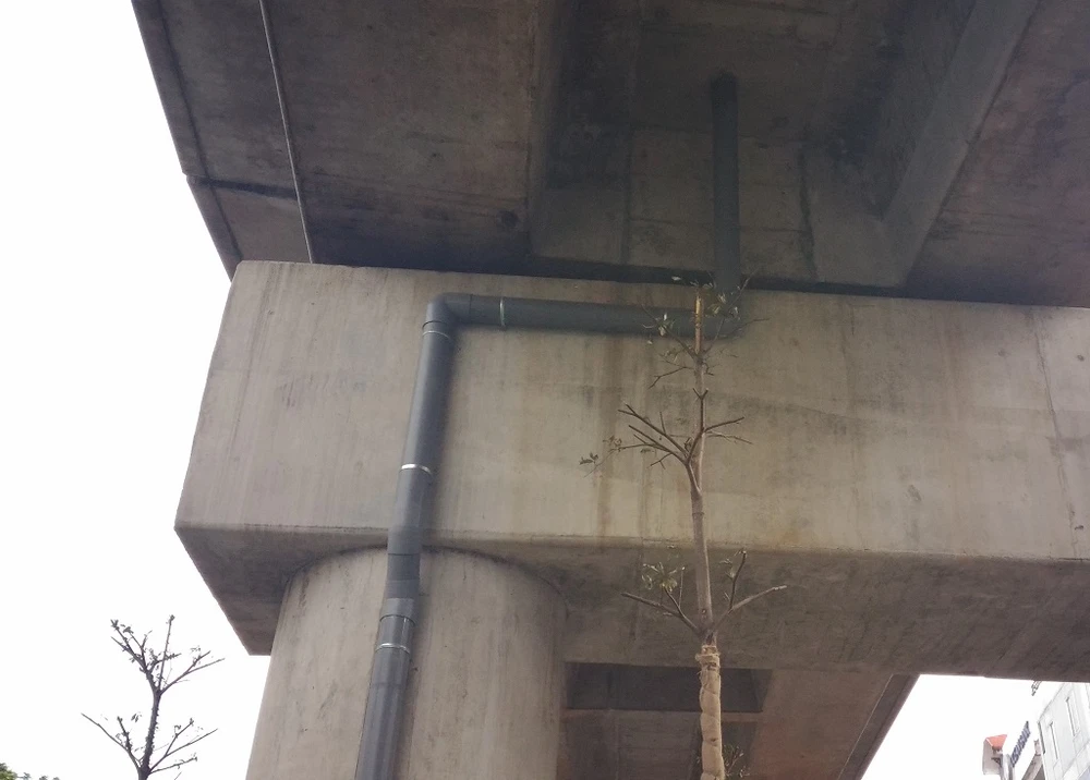 Độc nhất vô nhị: Trồng cây dưới… gầm đường sắt ảnh 4