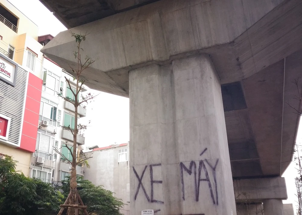 Độc nhất vô nhị: Trồng cây dưới… gầm đường sắt ảnh 5