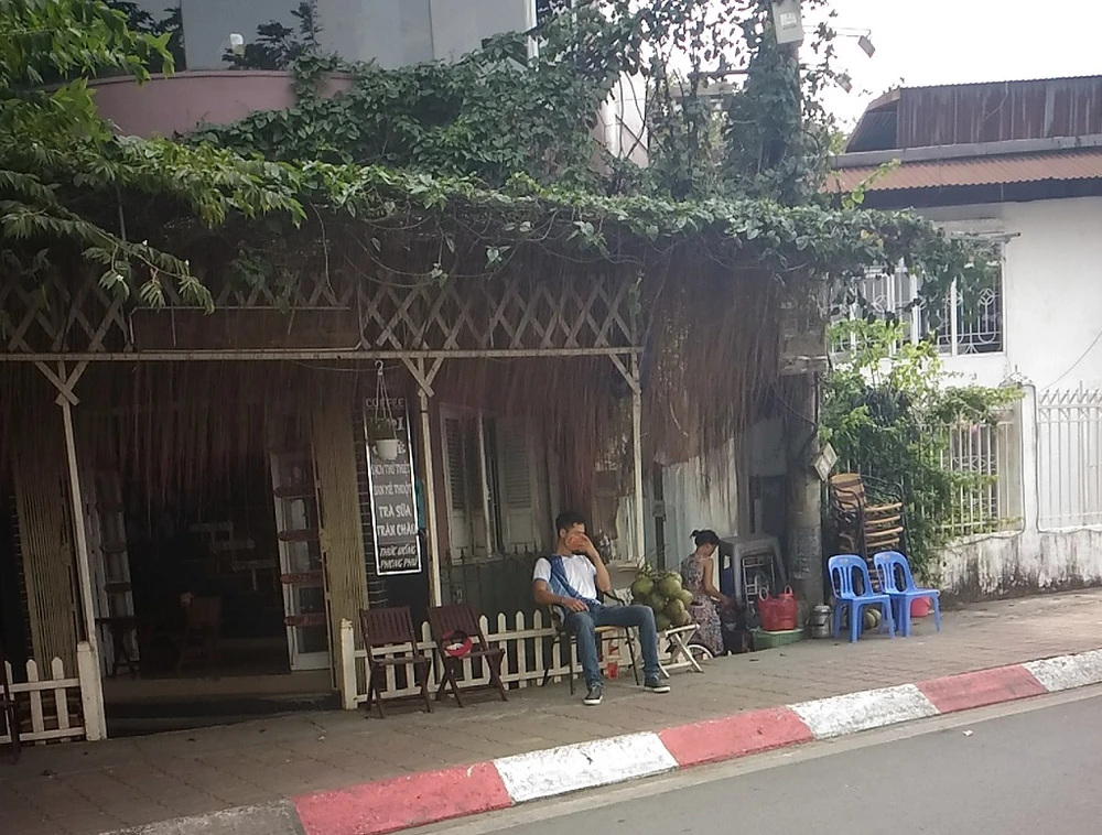 Hồ Tây không còn cá chết nhưng mùi thối vẫn nồng nặc ảnh 7