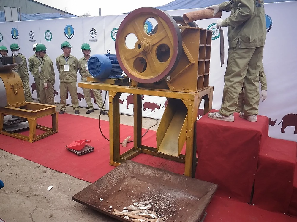 Lần đầu tiên Việt Nam tiêu hủy hơn 2.000 kg ngà voi ảnh 6