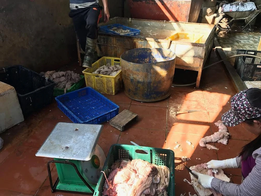 Nội tạng trâu bò mốc xanh giá… 2.000 đồng/kg ảnh 2