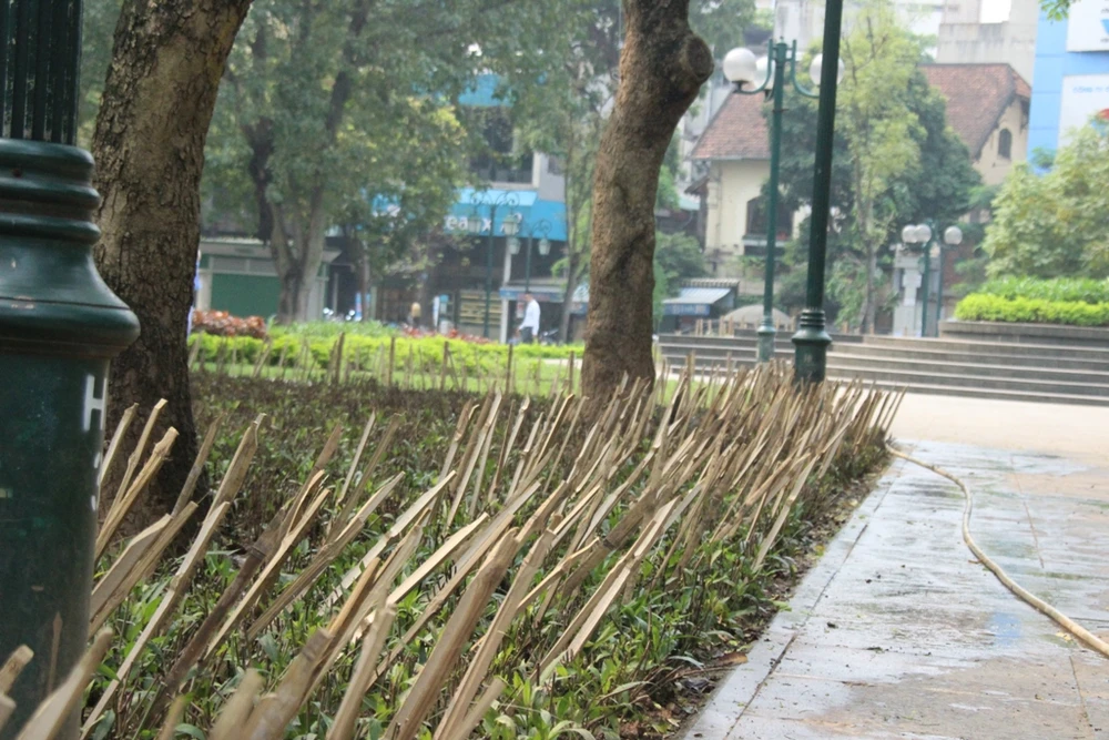 Vụ cắm chông tre ở vườn hoa: Nhổ bỏ ngay ảnh 5