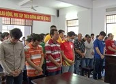 Hậu Giang xử 39 bị cáo đá gà ăn tiền