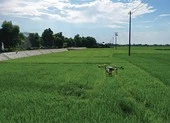 Quy định về thiết bị bay không người lái phục vụ nông nghiệp 
