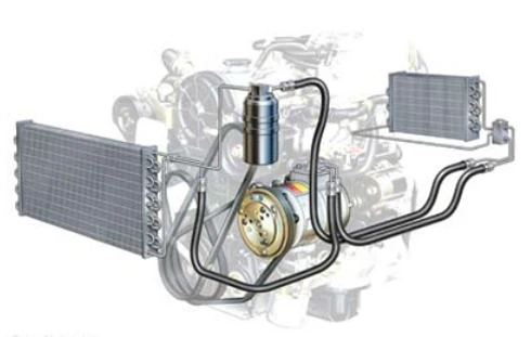 Lái và giữ xe trong hè ảnh 4