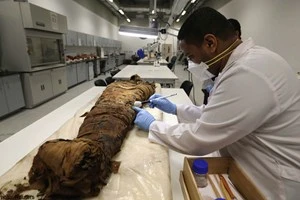 Ảnh minh họa. (Nguồn: news.asiaone.com)