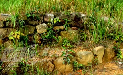 ‘Làng người Tàu’ săn lùng báu vật trong mộ các vua Trần ảnh 6