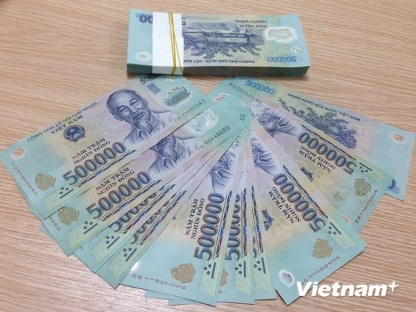 Hệ thống ngân hàng thương mại vẫn đang dư thừa tiền đồng ảnh 1