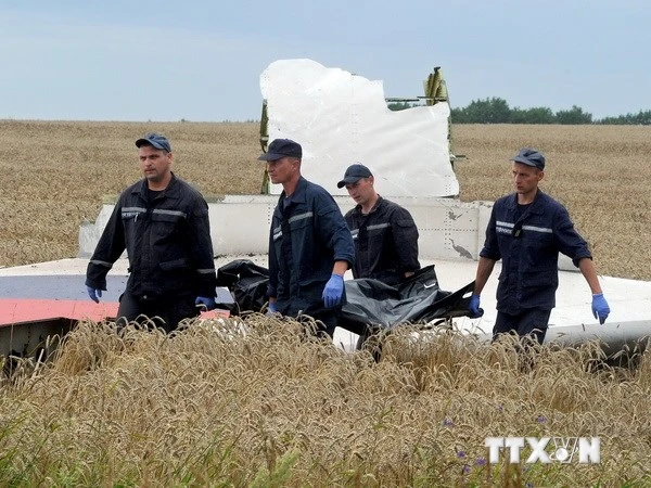 Malaysia Airlines đổi số hiệu chuyến bay MH17 thành MH19 ảnh 1