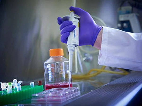 Tìm ra phương pháp tách các virus HIV khỏi tế bào người ảnh 1