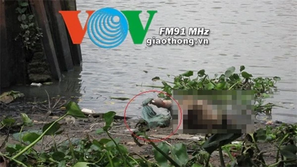 Phát hiện xác chết tay buộc bao đá trên sông Sài Gòn ảnh 1