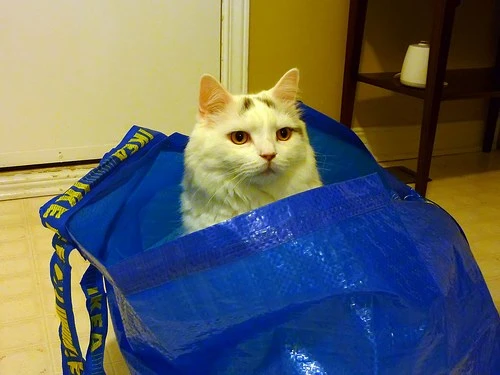 Những chuyện vui về IKEA mà nhiều người chưa biết ảnh 1