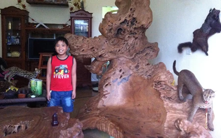 Choáng ngợp với bộ gỗ gù hương của dân chơi Thái Bình ảnh 6