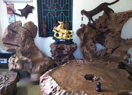 Choáng ngợp với bộ gỗ gù hương của dân chơi Thái Bình ảnh 7