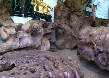 Choáng ngợp với bộ gỗ gù hương của dân chơi Thái Bình ảnh 9