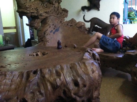 Choáng ngợp với bộ gỗ gù hương của dân chơi Thái Bình ảnh 3