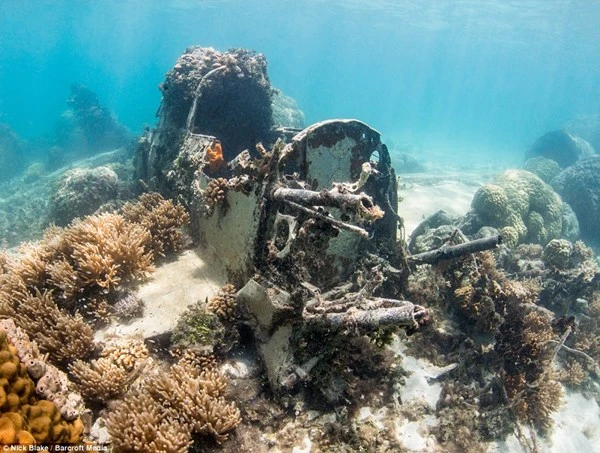 Rợn người nghĩa địa máy bay, tàu chiến dưới đáy biển sâu ảnh 2