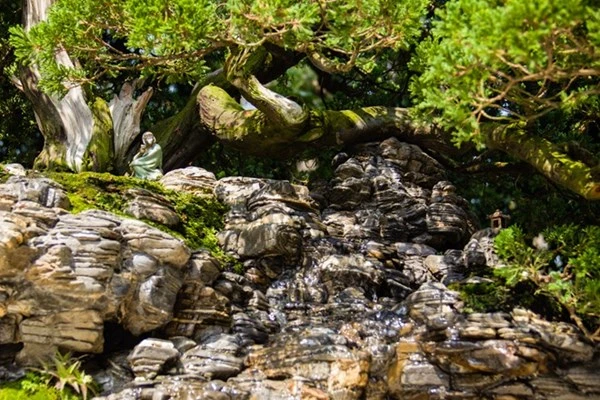 Những tiểu cảnh, bon sai vô giá ở hội hoa xuân Sài Gòn ảnh 14