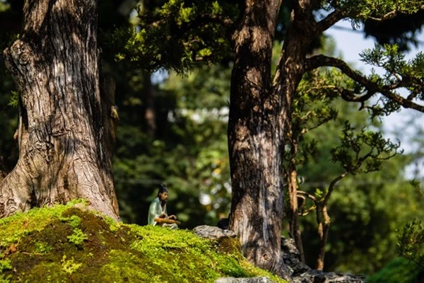 Những tiểu cảnh, bon sai vô giá ở hội hoa xuân Sài Gòn ảnh 3