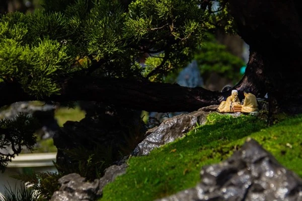 Những tiểu cảnh, bon sai vô giá ở hội hoa xuân Sài Gòn ảnh 6