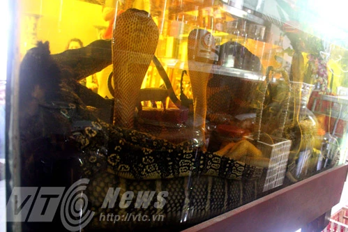 Lang y bí ẩn sở hữu đại mãng xà ảnh 2